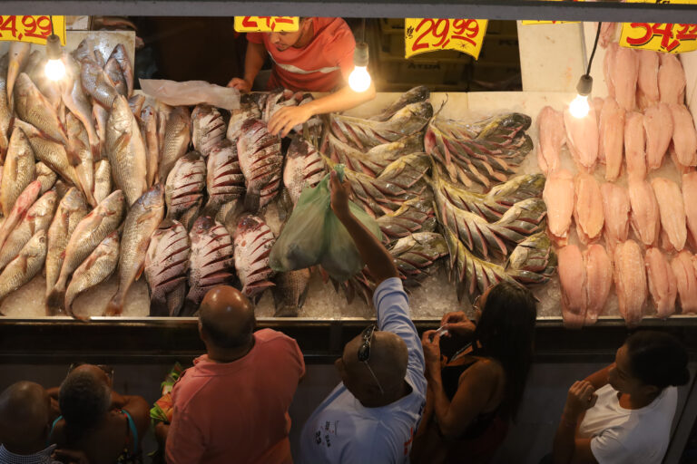 Pescados frescos em balcão de peixaria com gelo em Niterói, durante fiscalização da Vigilância Sanitária.