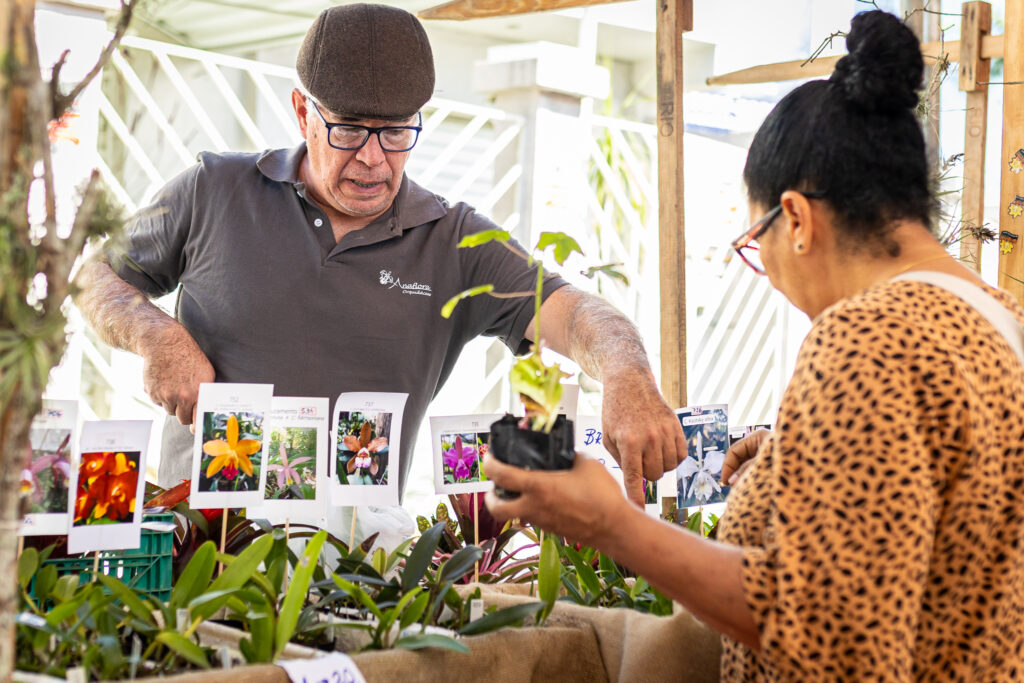 Pessoas comprando produtos frescos e artesanais em barracas de feira livre em Maricá, com foco na agricultura familiar.