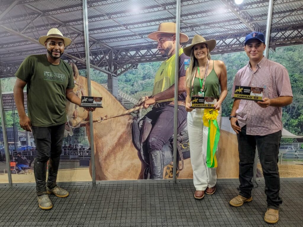 Imagem ilustrativa de uma pista equestre coberta ou evento agropecuário em Niterói.