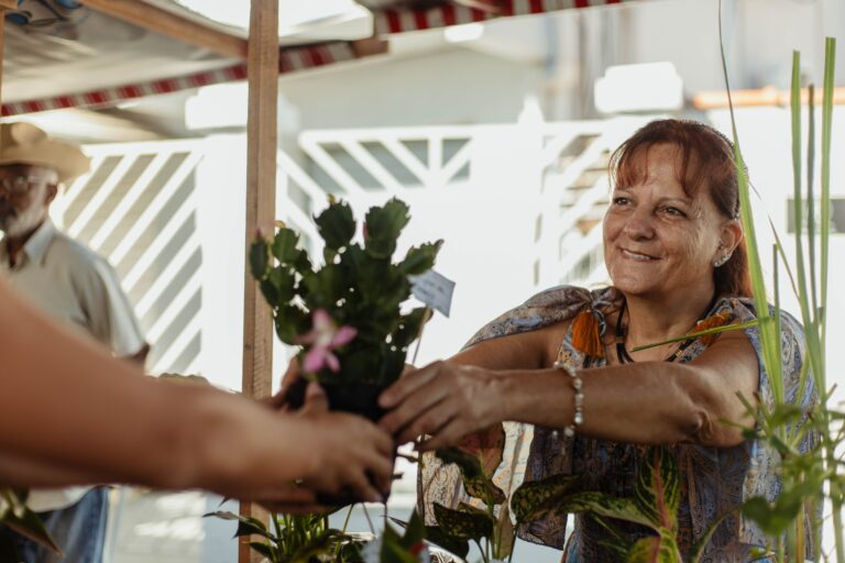 Pessoas comprando frutas e vegetais frescos em barracas da Feira da Agricultura Familiar na Praça Agroecológica de Araçatiba, Maricá.