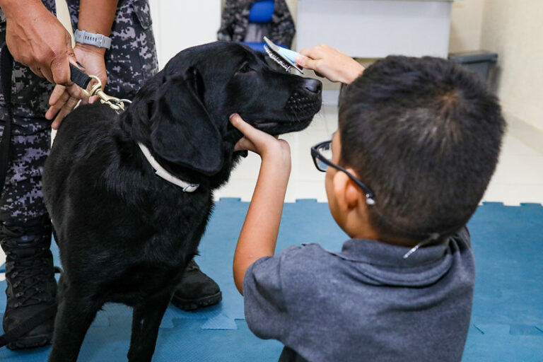 Grupo de pessoas com autismo e cães treinados em cerimônia de certificação em Maricá.