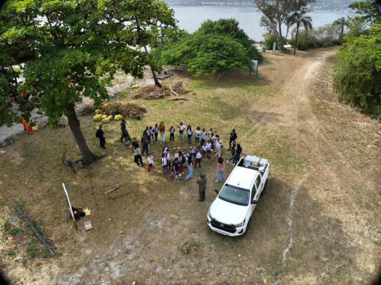 Voluntários e técnicos plantam mudas nativas da Mata Atlântica em ação ambiental no Parque Morro do Morcego, Niterói.