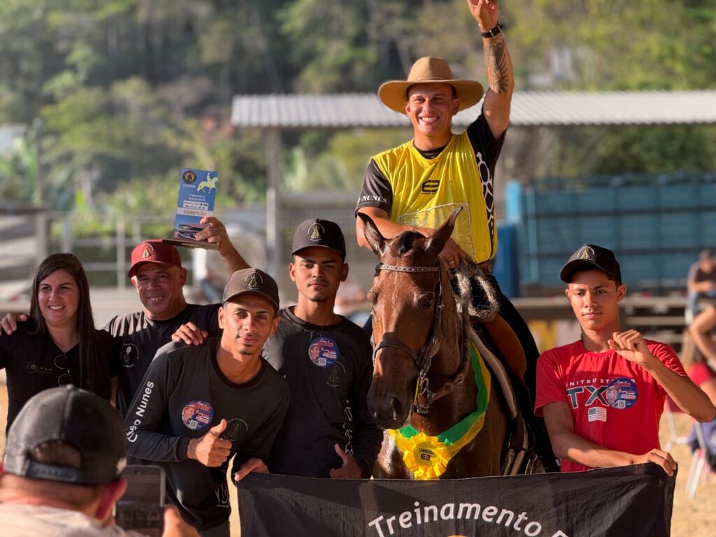 Cavalos da raça Mangalarga Marchador em exposição no Parque Rural de Niterói
