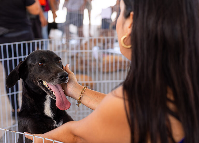 Profissional de saúde animal examina cão em evento de bem-estar em Maricá, com tutores e outros animais no local.