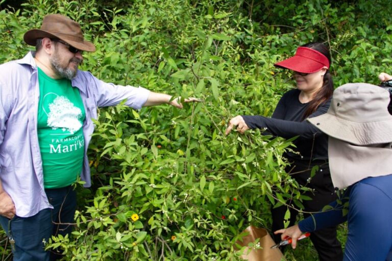 Grupo de pessoas em visita guiada em plantação de plantas medicinais em Maricá.