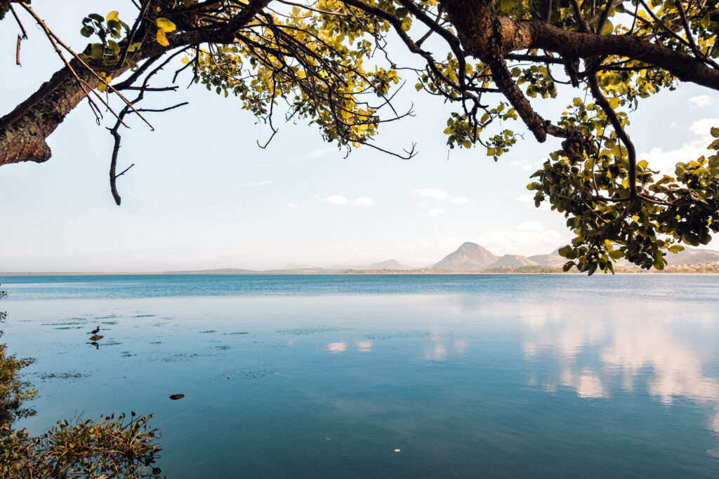 Equipes da Prefeitura de Maricá realizam a remoção de vegetação nas margens da Lagoa de Araçatiba para combater o mau cheiro.