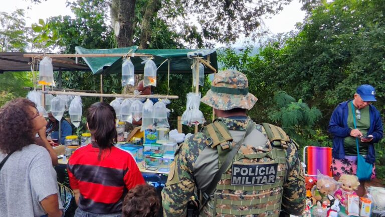 Policiais militares fiscalizam apreensão de peixes e crustáceos em feira de Itaipuaçu, Maricá, por comércio ilegal.