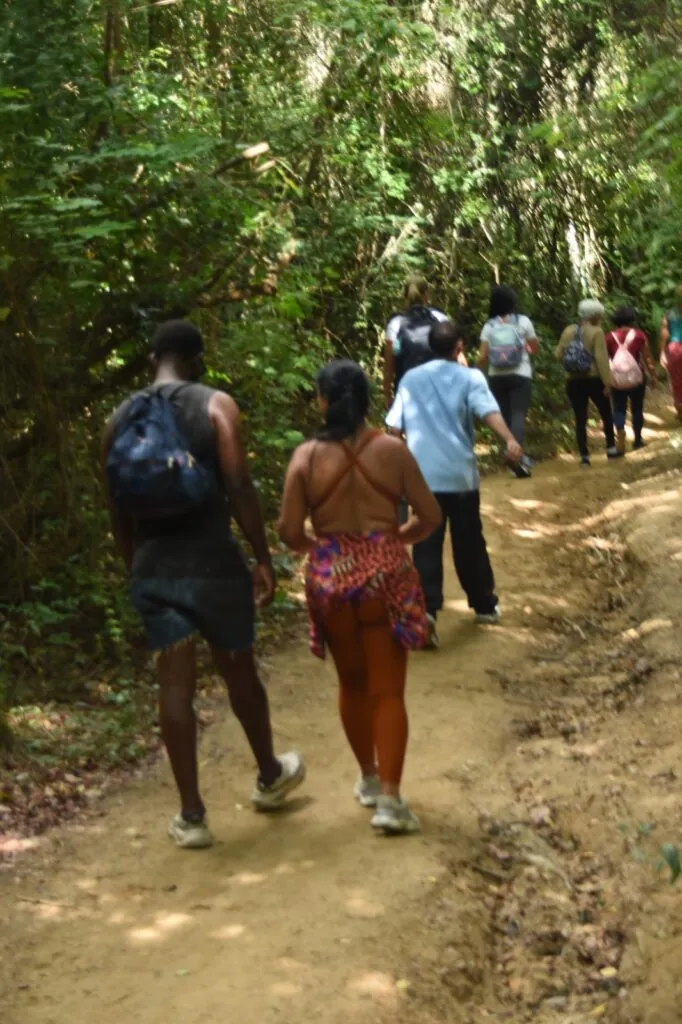 Idosos caminhando em trilha arborizada no Caminho de Darwin, em Itaipuaçu, Maricá.