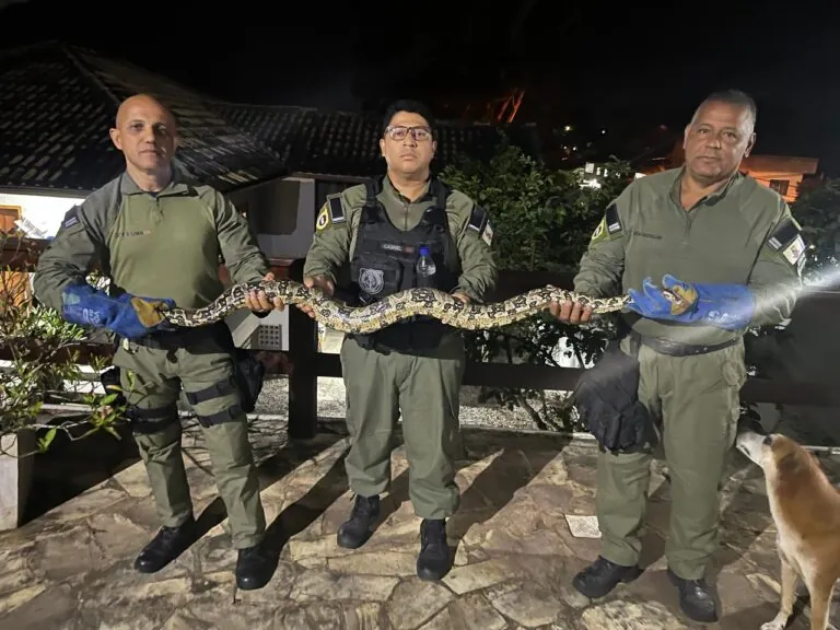 Jiboia de mais de 2 metros resgatada pela Guarda Municipal de Niterói em casa no Engenho do Mato.