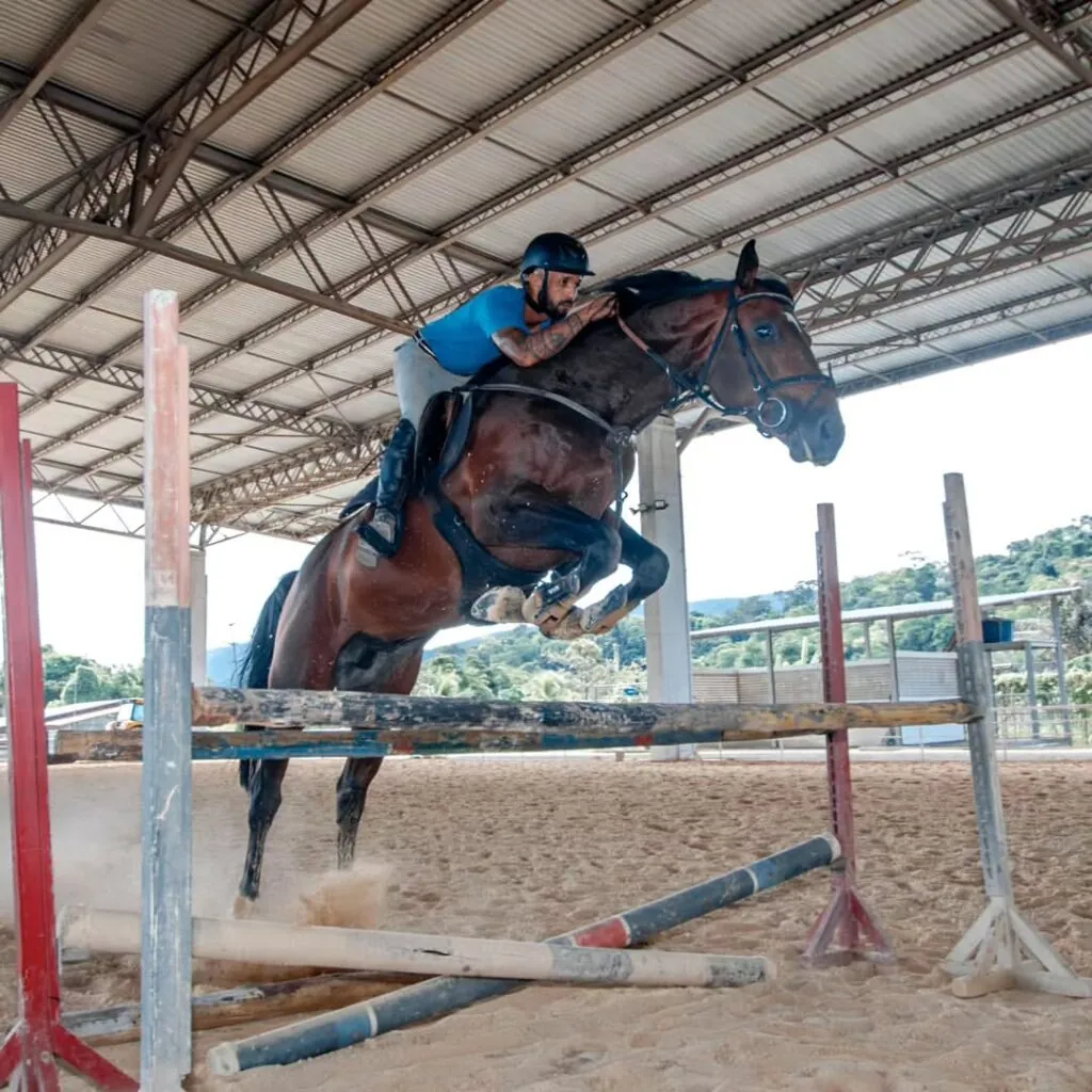 Cavaleiro e cavalo saltando obstáculo em competição hípica no Parque Rural de Niterói.