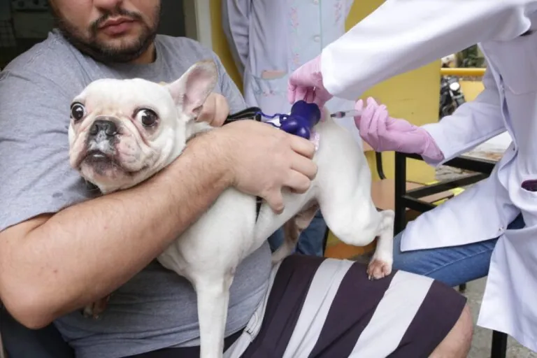 Cães e tutores recebem atendimento em ação de microchipagem e vacinação gratuita em Niterói.